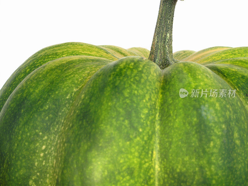 南瓜Cucurbita Moschata